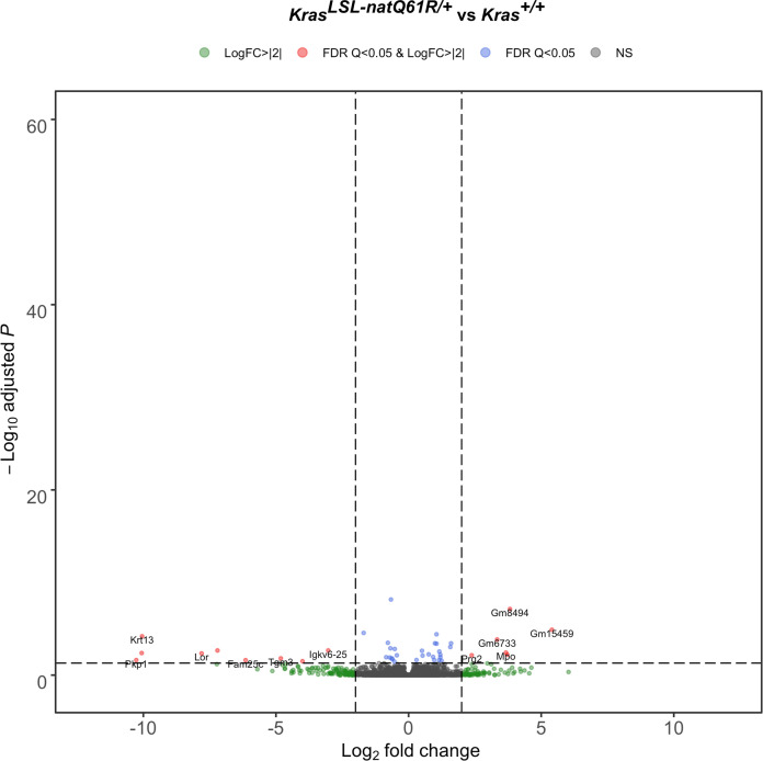 Figure 3—figure supplement 3.