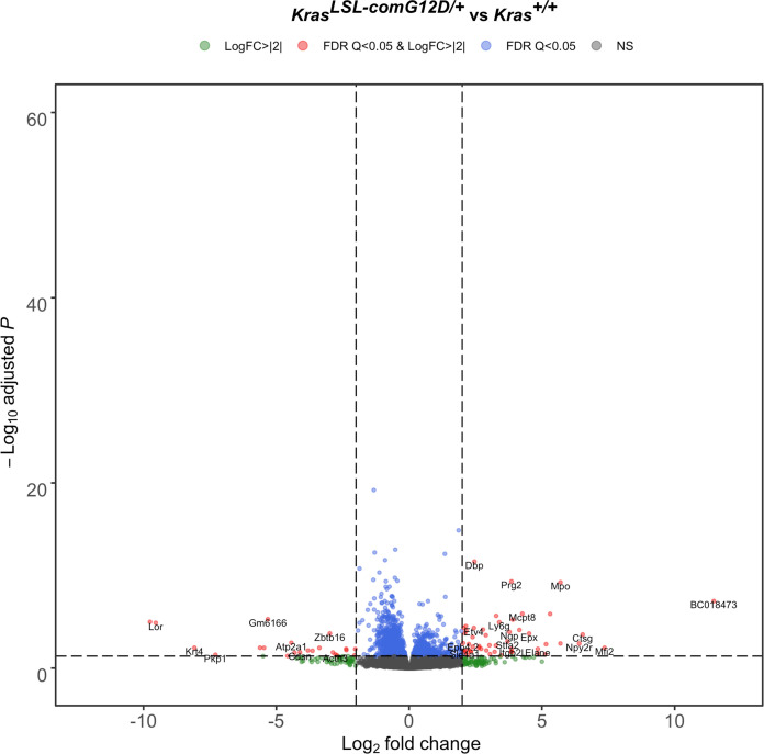 Figure 3—figure supplement 4.