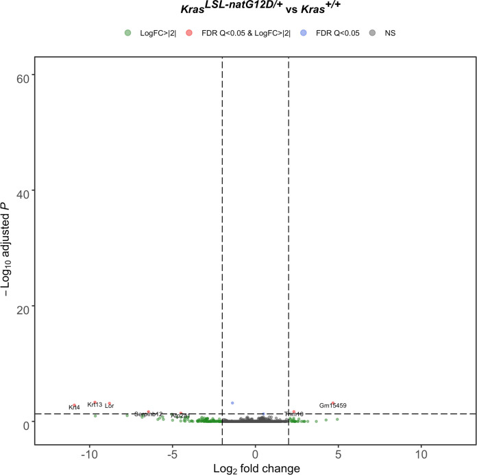 Figure 3—figure supplement 2.