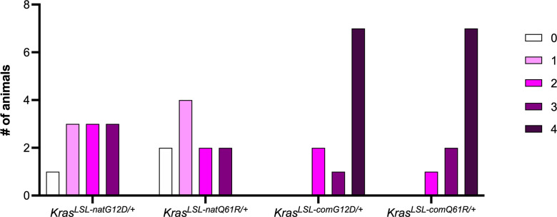 Figure 4—figure supplement 3.