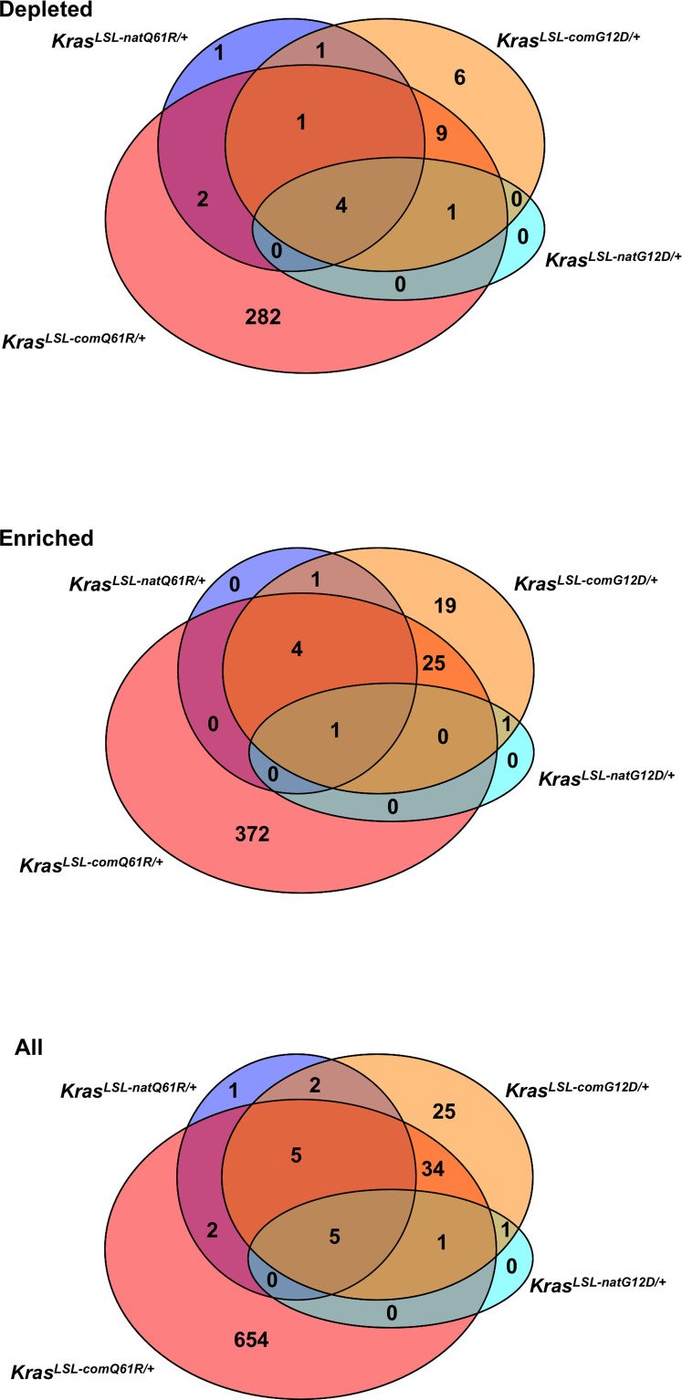 Figure 3—figure supplement 6.