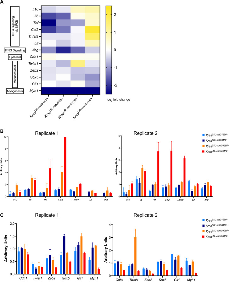 Figure 3—figure supplement 7.