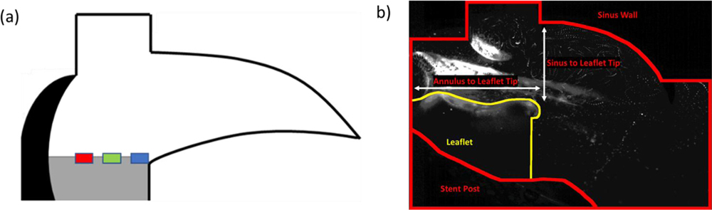 Figure 3: