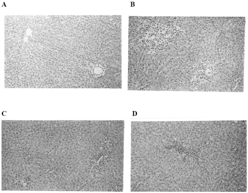 Fig.3