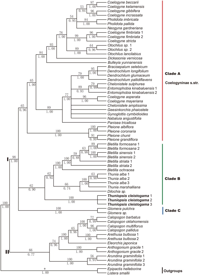 Fig 1