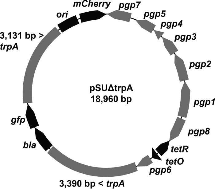 FIG 4 