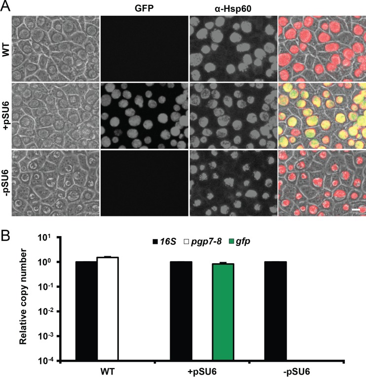 FIG 3 