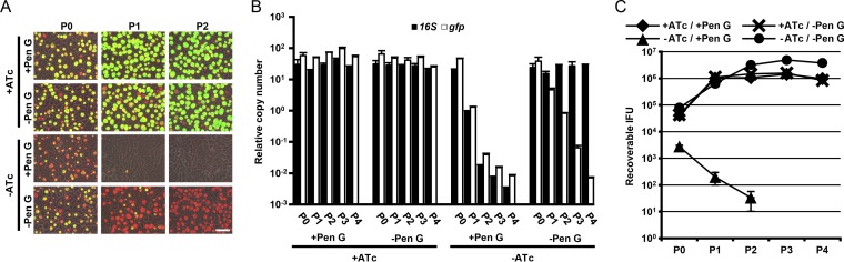 FIG 2 