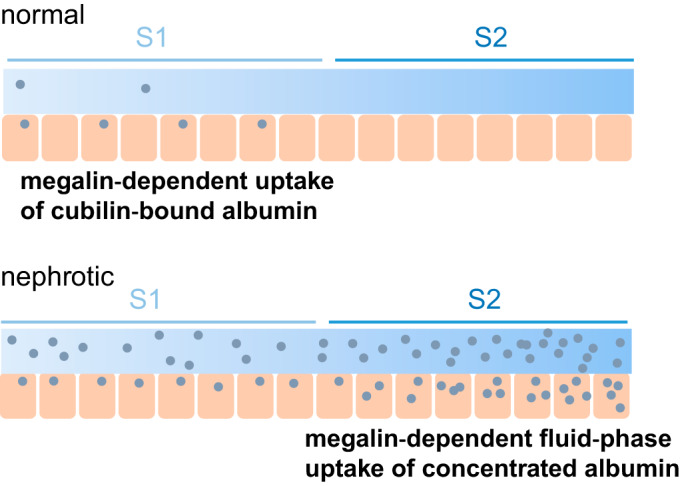 Fig. 8.