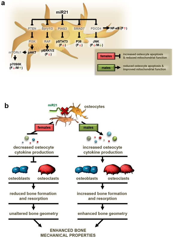 Figure 12.