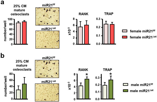 Figure 10.