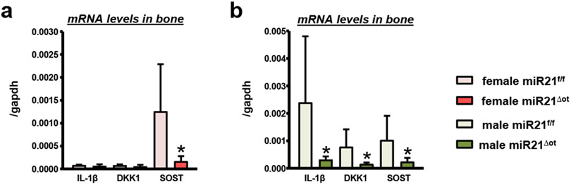 Figure 11.