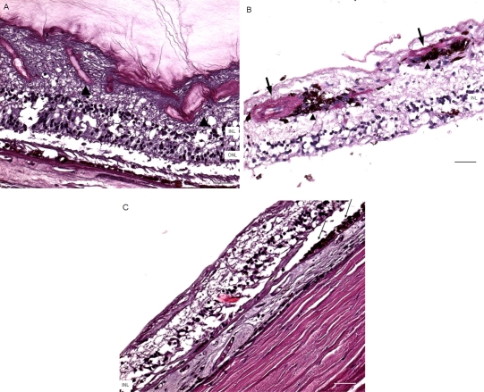 Fig. (4)