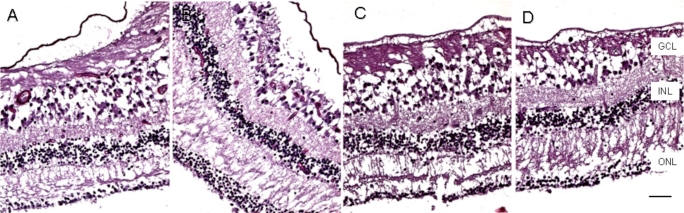 Fig. (3)