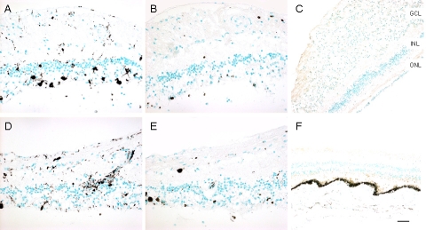 Fig. (5)