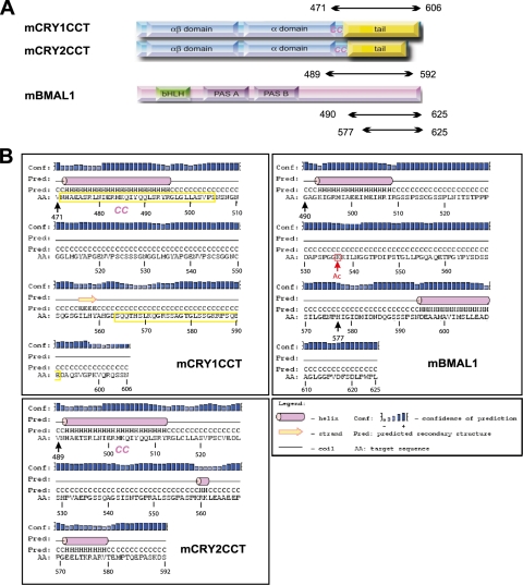 FIGURE 1.