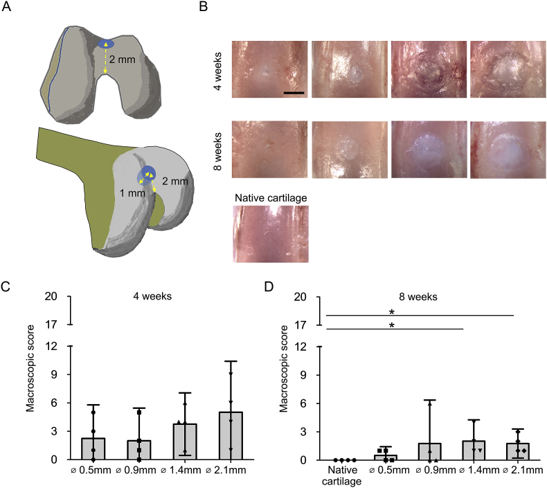 Fig. 1