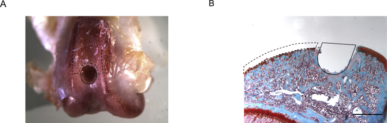 Supplementary Fig. 1