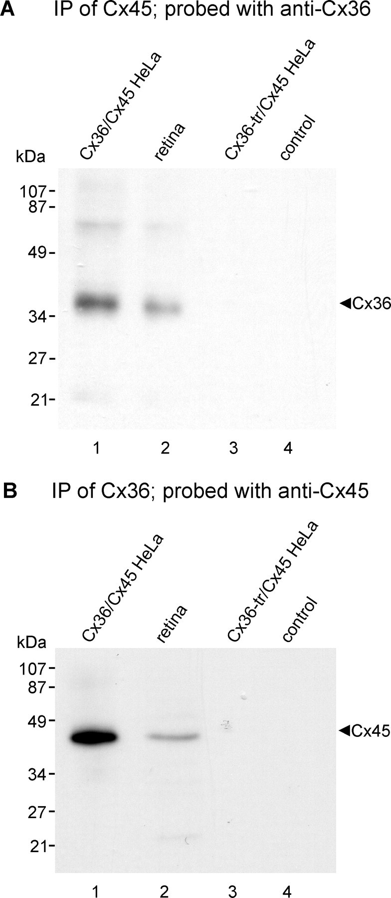 Figure 13.