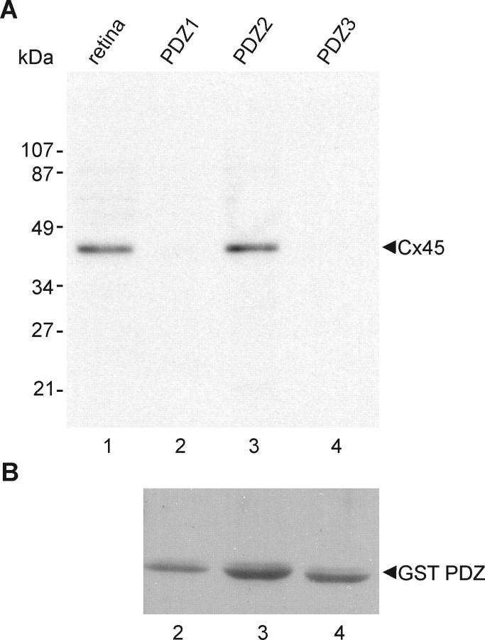 Figure 12.