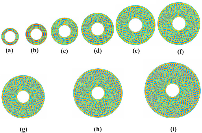 Fig. 16