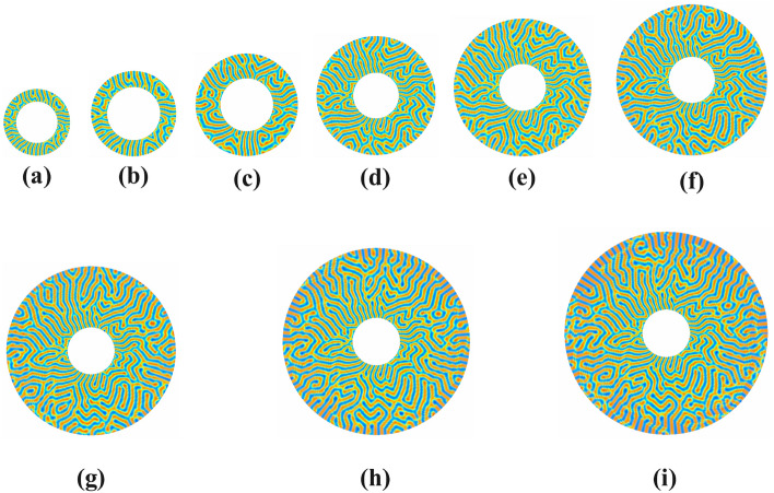 Fig. 12