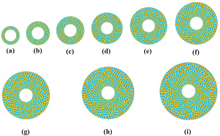 Fig. 11