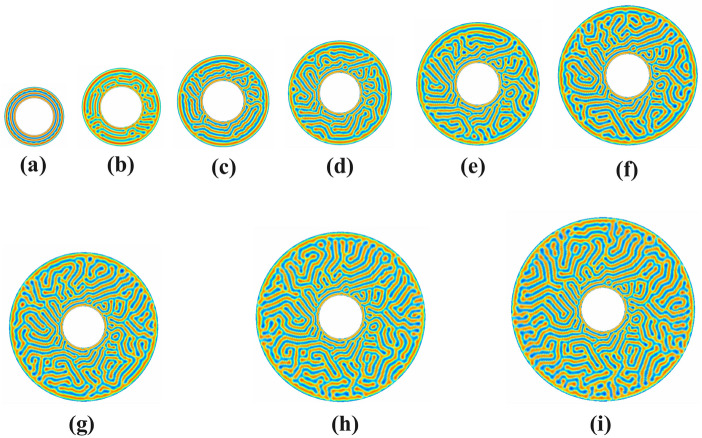 Fig. 15