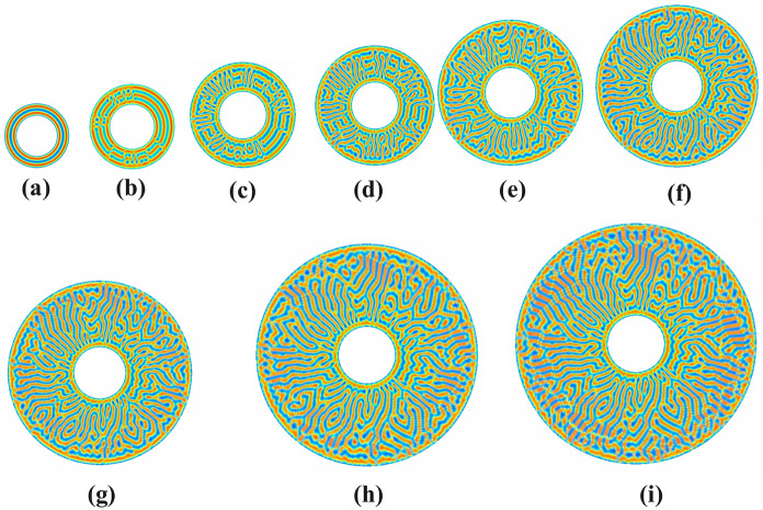 Fig. 17