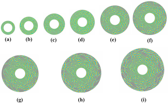 Fig. 13