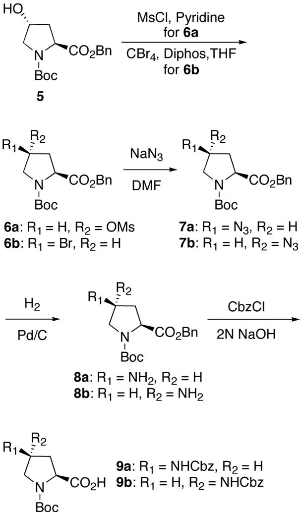 Scheme 1