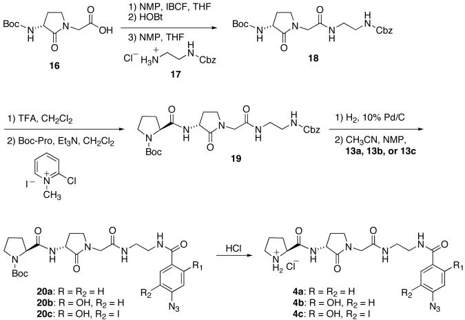 Scheme 3