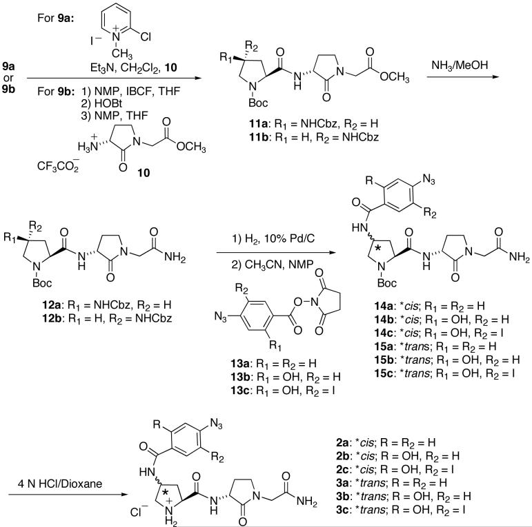 Scheme 2