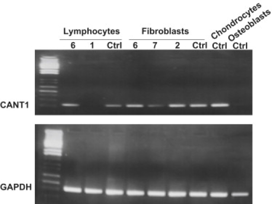 Figure 3