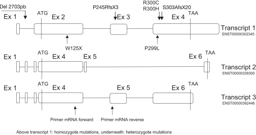 Figure 2