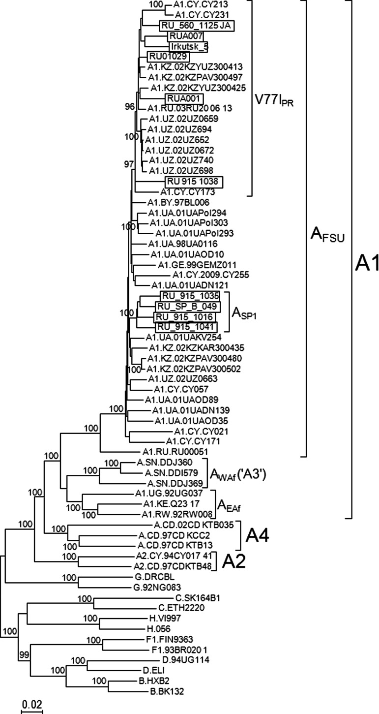 FIG. 1.