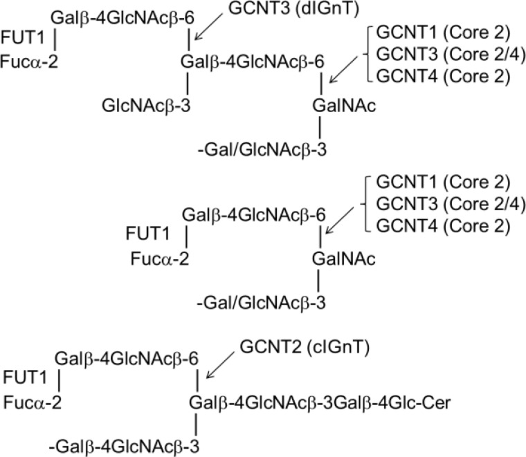 SCHEME 3