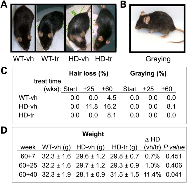 Figure 2.