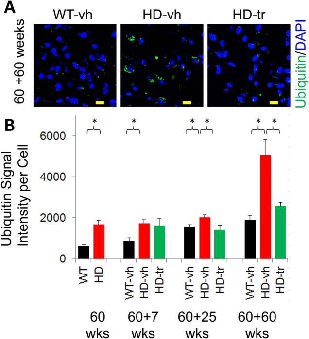 Figure 4.