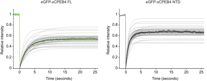 Figure 5—figure supplement 1.