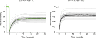 Figure 5—figure supplement 1.