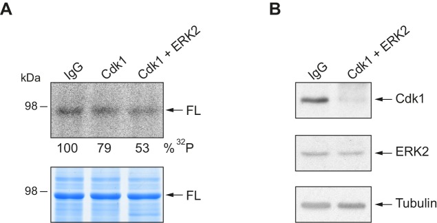 Figure 2—figure supplement 2.