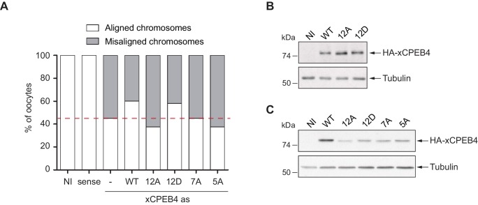 Figure 3—figure supplement 3.