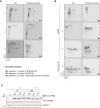 Figure 2—figure supplement 4.