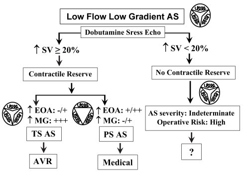 Figure 3)