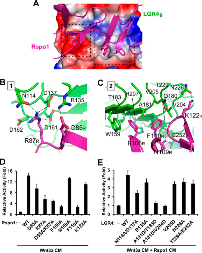 FIGURE 4.