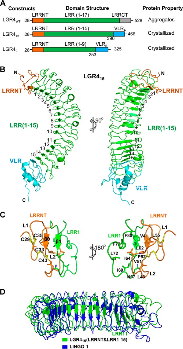 FIGURE 1.