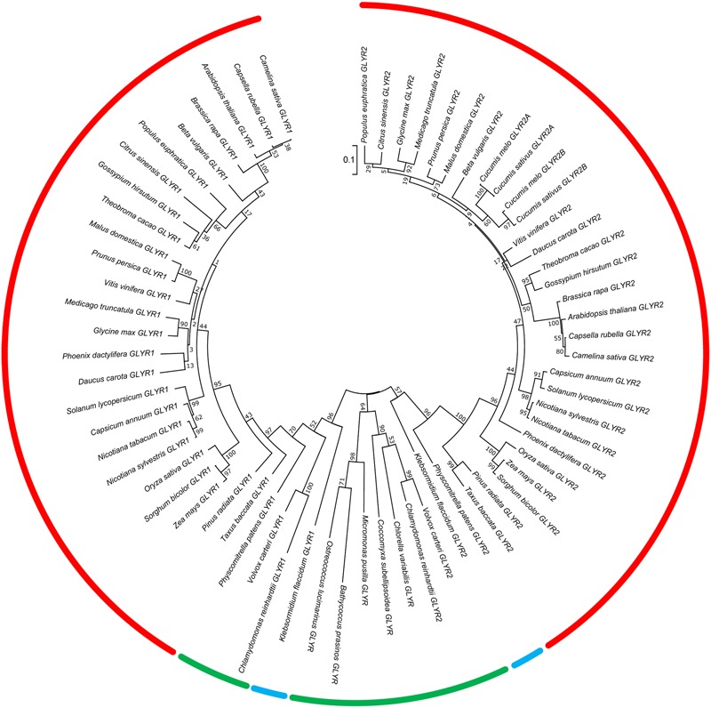 FIGURE 1