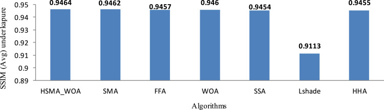 Fig. 7