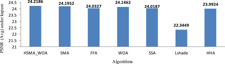 Fig. 6